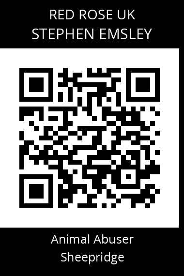 QR code for stephen-emsley