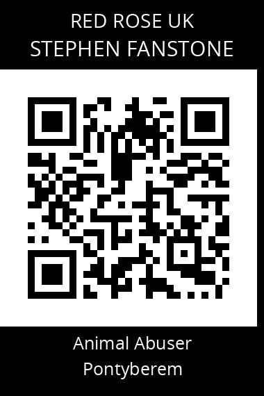 QR code for stephen-fanstone