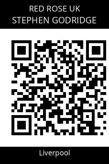 QR code for stephen-godridge-6