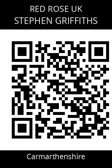 QR code for stephen-griffiths-2