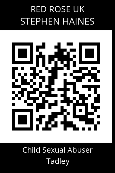 QR code for stephen-haines