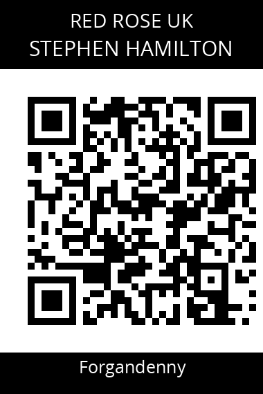 QR code for stephen-hamilton-1