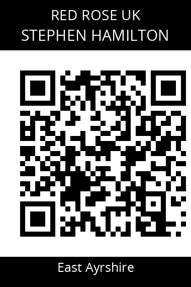 QR code for stephen-hamilton-3