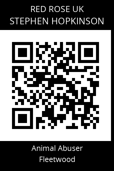 QR code for stephen-hopkinson