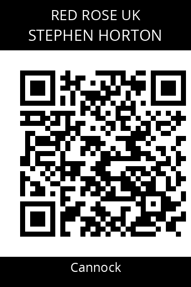 QR code for stephen-horton-bdtduy