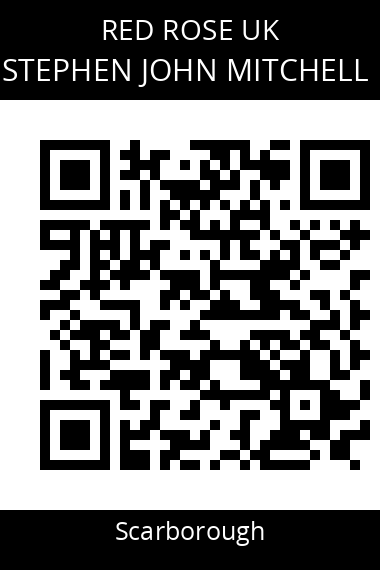 QR code for stephen-john-mitchell