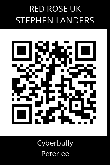 QR code for stephen-landers