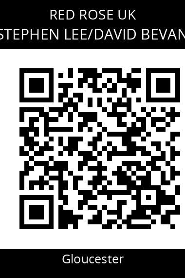 QR code for stephen-leedavid-bevan