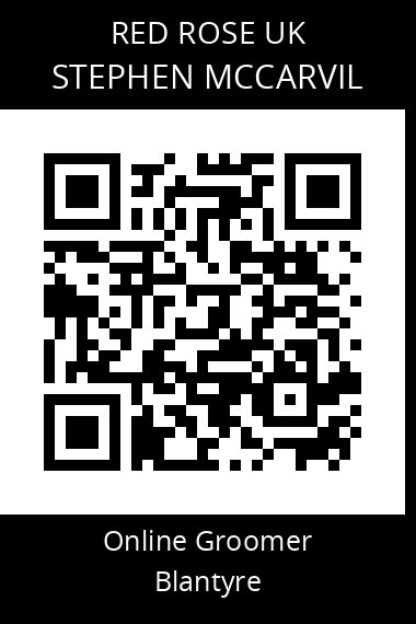QR code for stephen-mccarvil