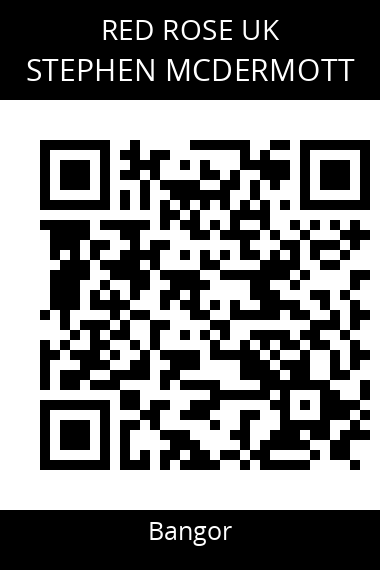 QR code for stephen-mcdermott-2