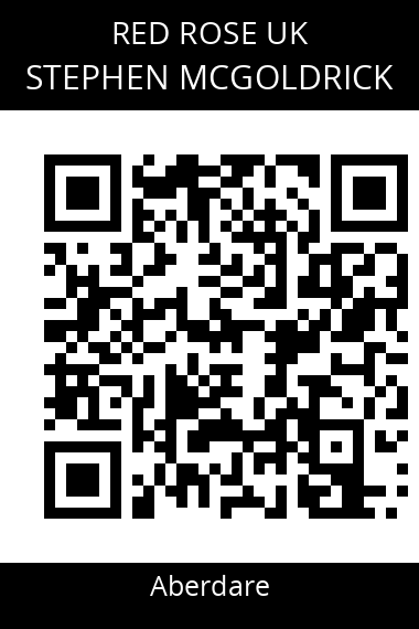 QR code for stephen-mcgoldrick