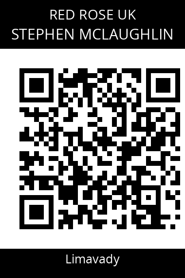 QR code for stephen-mclaughlin-2