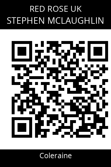 QR code for stephen-mclaughlin