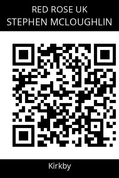 QR code for stephen-mcloughlin