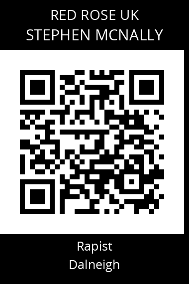 QR code for stephen-mcnally-2
