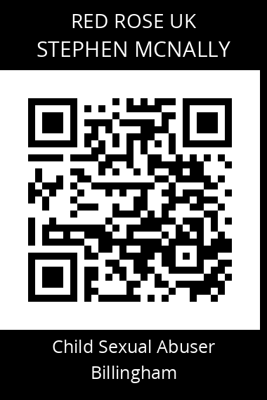 QR code for stephen-mcnally