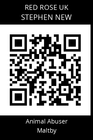 QR code for stephen-new
