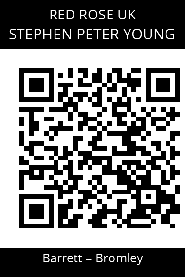 QR code for stephen-peter-young-1fmmjb