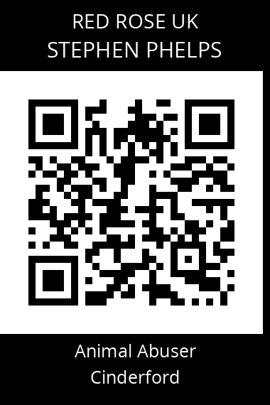 QR code for stephen-phelps