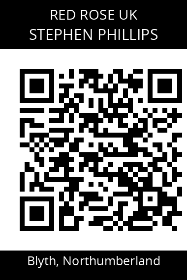 QR code for stephen-phillips-3
