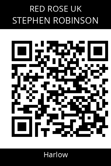 QR code for stephen-robinson-2