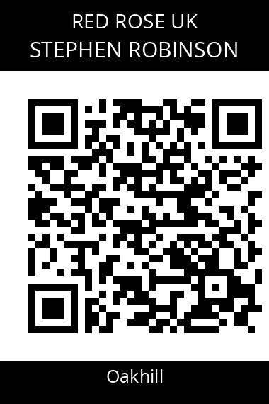 QR code for stephen-robinson-4