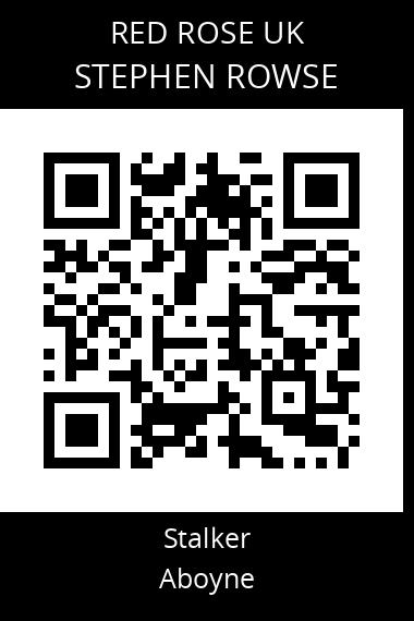 QR code for stephen-rowse