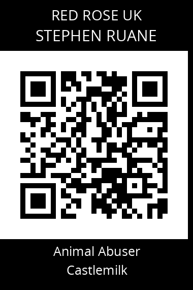 QR code for stephen-ruane