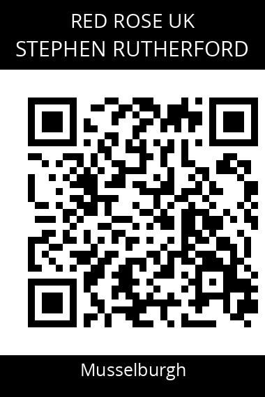 QR code for stephen-rutherford