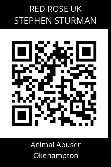 QR code for stephen-sturman