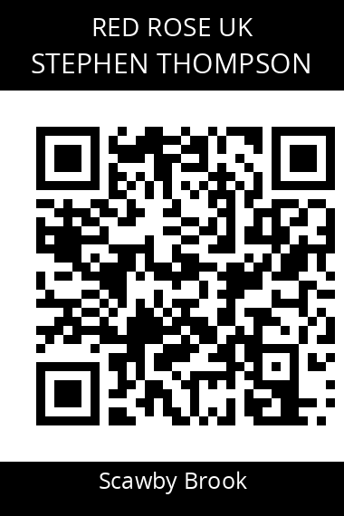 QR code for stephen-thompson-1