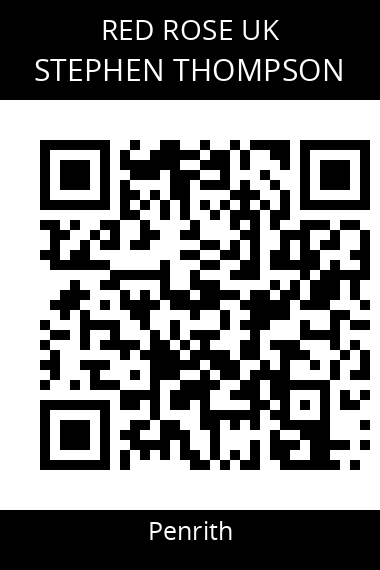 QR code for stephen-thompson-6