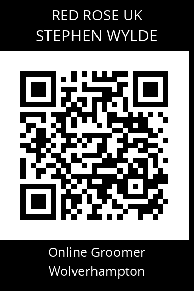 QR code for stephen-wylde