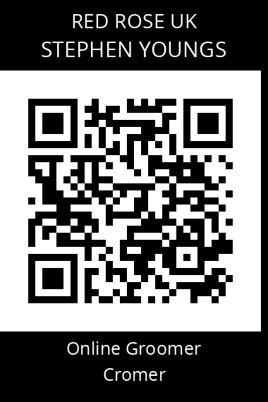 QR code for stephen-youngs