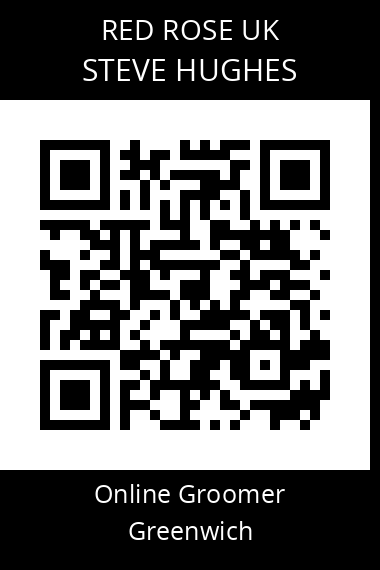 QR code for steve-hughes