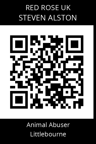 QR code for steven-alston