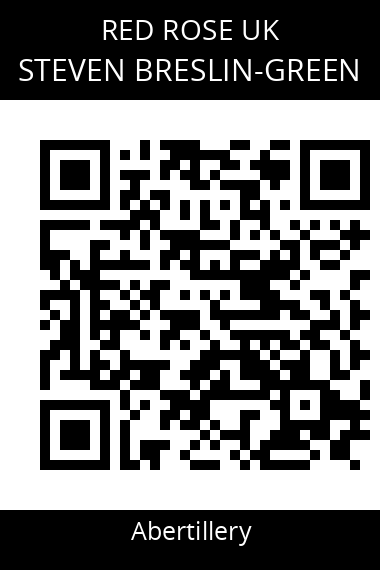 QR code for steven-breslin-green