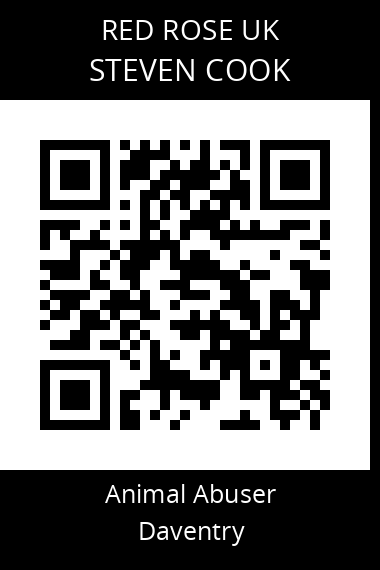 QR code for steven-cook-3