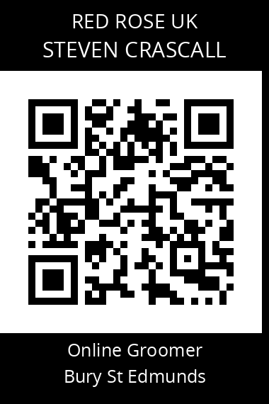 QR code for steven-crascall