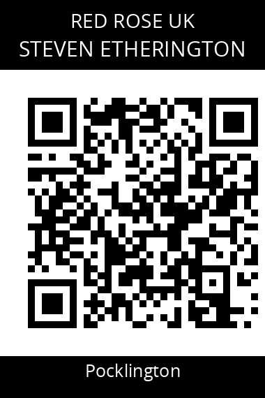 QR code for steven-etherington