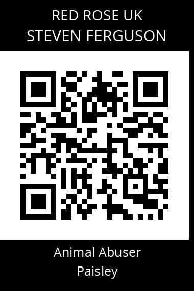 QR code for steven-ferguson