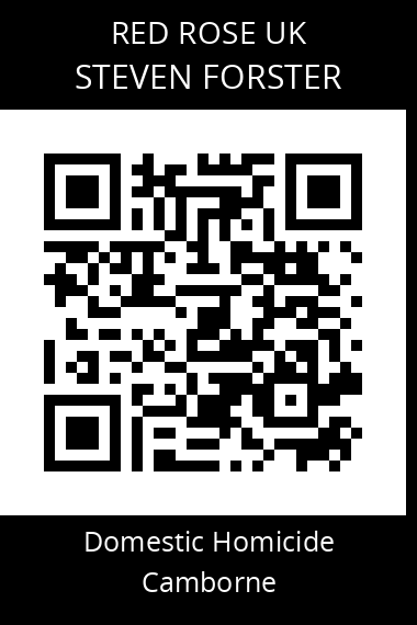 QR code for steven-forster