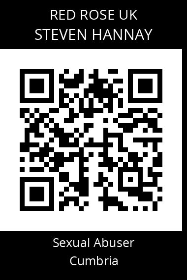 QR code for steven-hannay