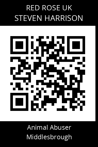 QR code for steven-harrison-2