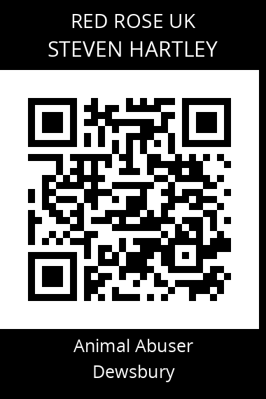 QR code for steven-hartley