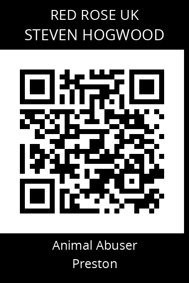QR code for steven-hogwood