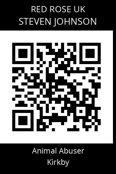 QR code for steven-johnson-1
