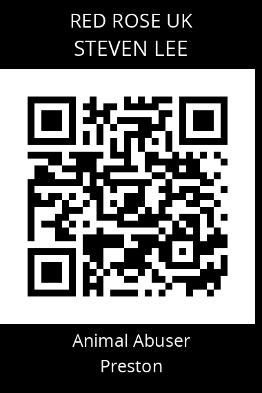 QR code for steven-lee-1