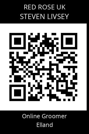 QR code for steven-livsey
