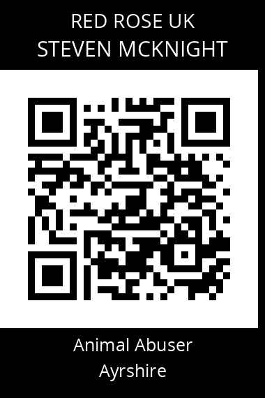 QR code for steven-mcknight